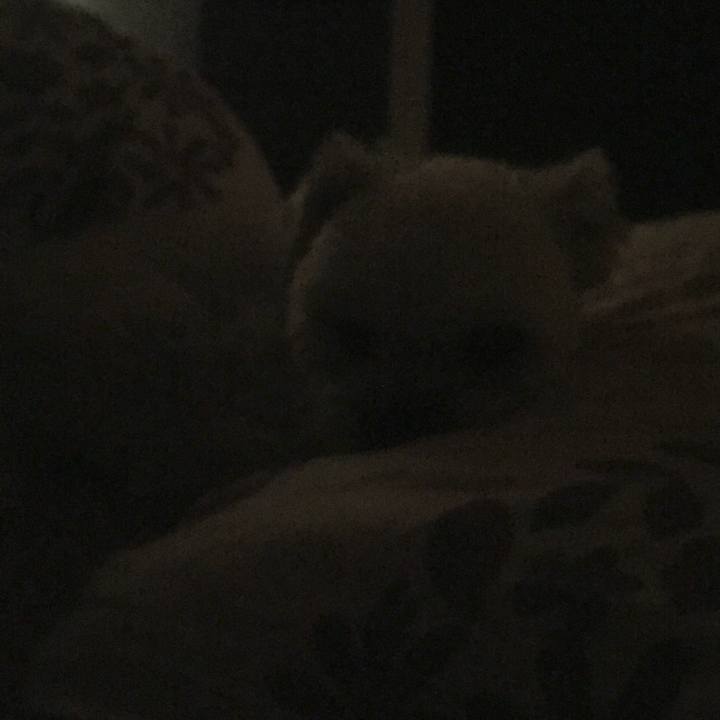 6b799421 450d 4f4e b902 10aca18718a9