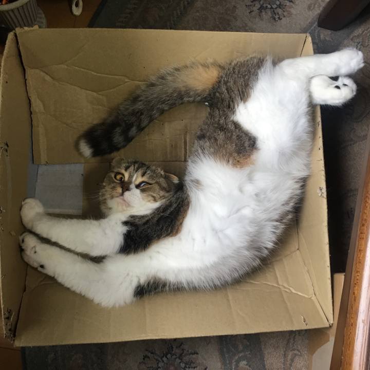 6b79cc47 c875 4a32 b172 316287ab90f8