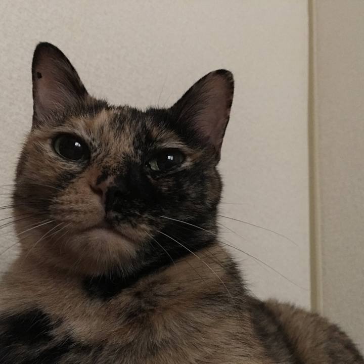 6b7a3759 5579 4108 b078 4f8a24a4f7f4