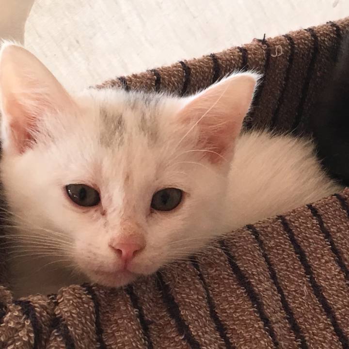 6b7a40b7 f2c6 41d4 9a48 fbf3ba575b3f