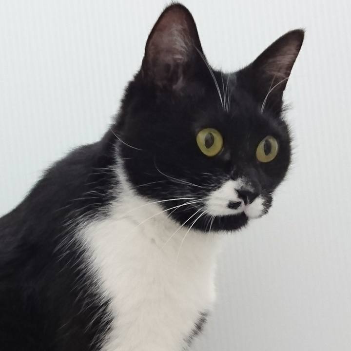 6b7ab4ee 2981 48e4 9103 33b23438cbae