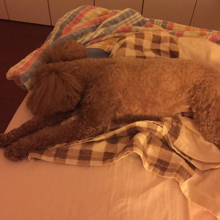 6b7ab5d2 e425 460d 95ae 95e370d12add