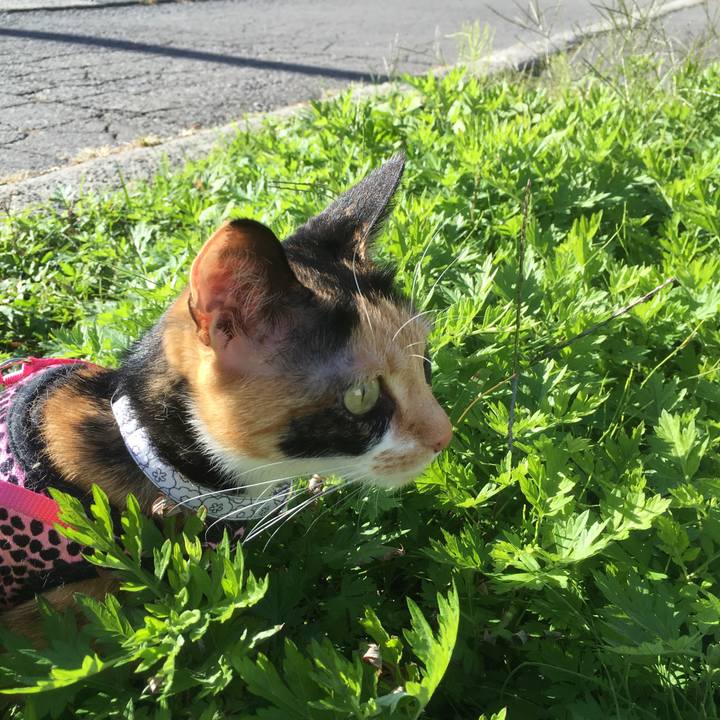 6b7ac18e 0076 45ba 833e e31abe07a60f