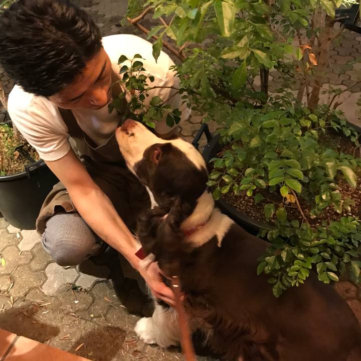 6b7b1780 51ea 45d9 9219 f089cd45396e