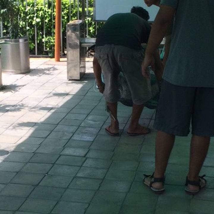 6b7ba27d d09f 45cd 86b5 75f917b9e77f