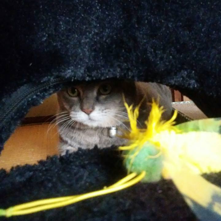 6b7c0a7b 1f5e 4e55 830a 34f89bce7af1