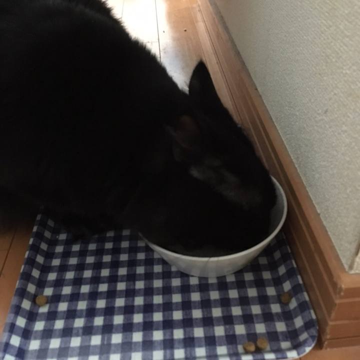 6b7caed7 b87e 4955 8d58 f6d8fb2ba412