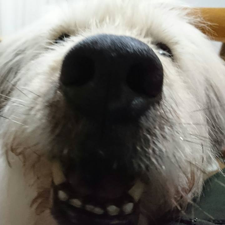 6b7d8036 79fe 4cea 86d4 6a167c3063a9