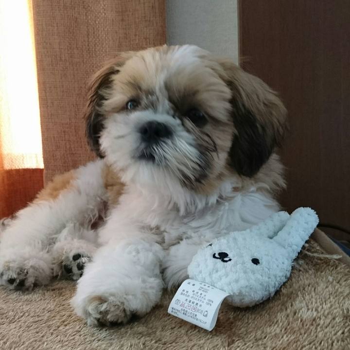 6b7d8d16 ca82 4953 a45a 9651cc655681