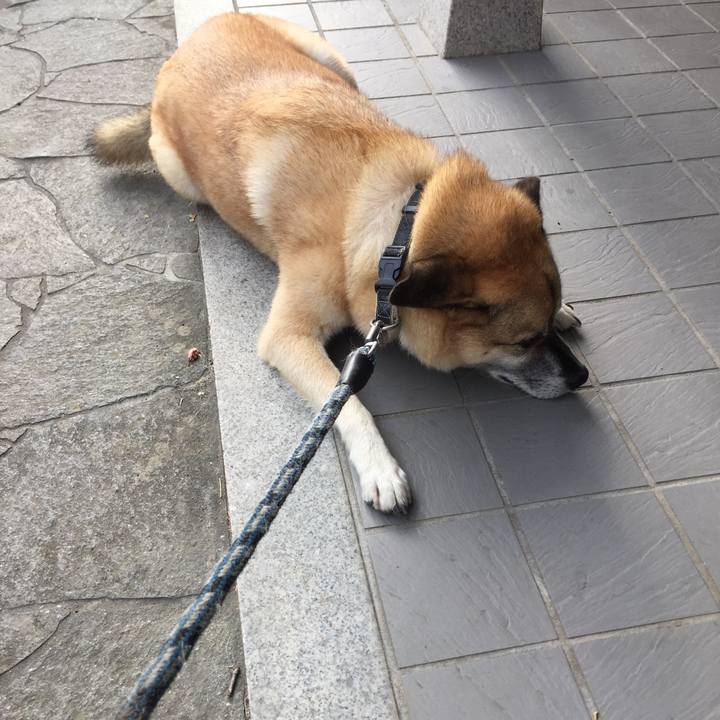 6b7d972e 09bc 464f bffc d597d527fd0d