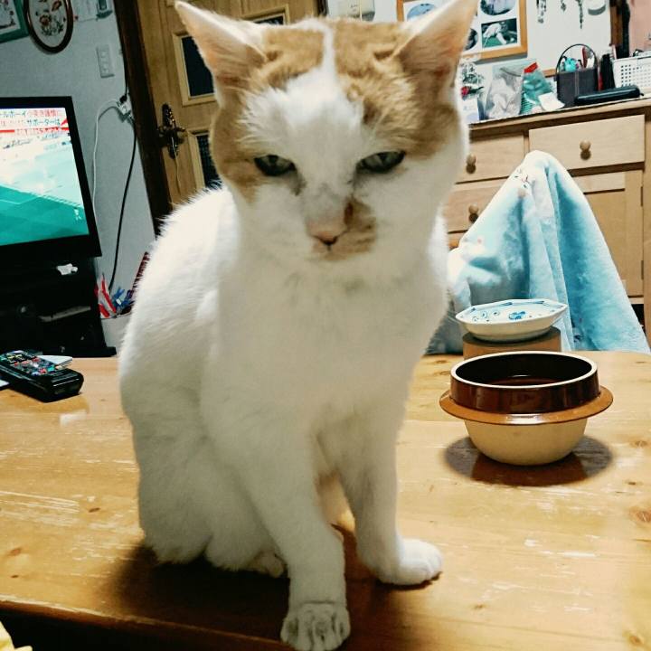 6b7db12d c303 4490 a80a 7b973fd88f0b