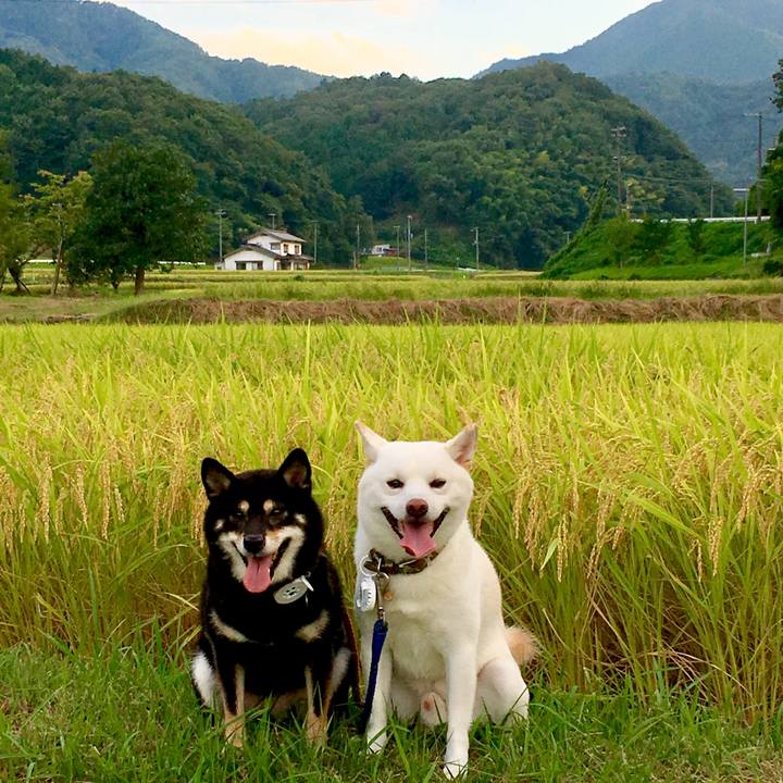 6b7e0146 27d1 48a4 9fce fc7037a1fd82