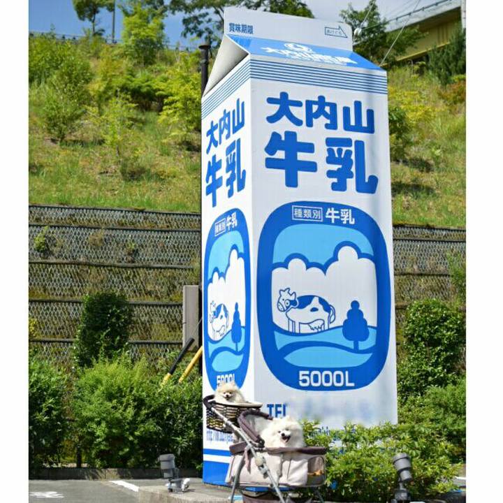 6b7e2031 4d4f 4417 b96d 5c76480aa8a3