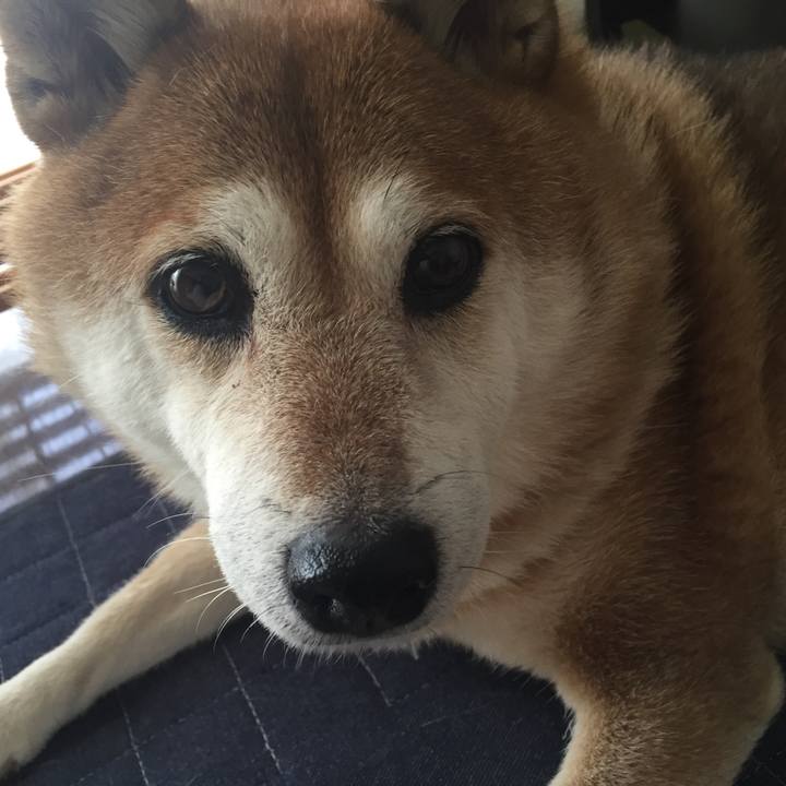 6b7e61dd 5cf3 44b1 8618 0e46fe41f9d7