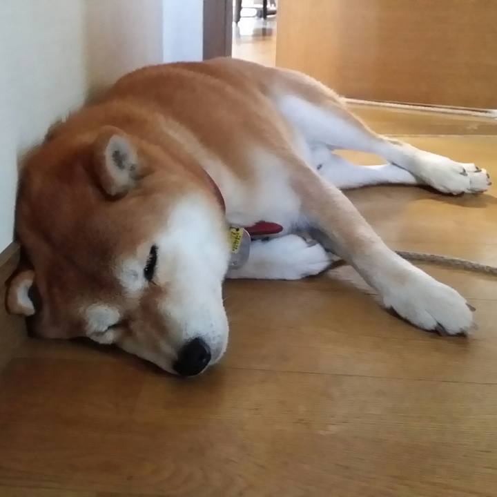 6b7e6693 c86e 48cc 8ee8 2915cb7d95f0