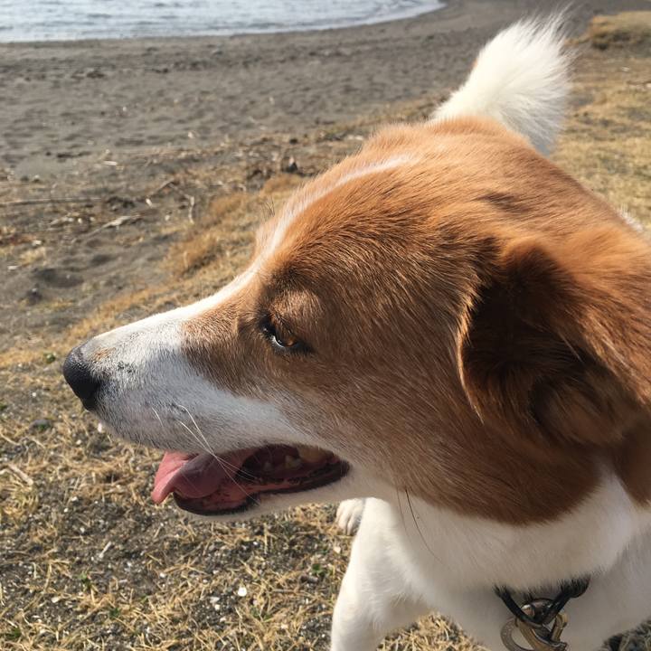 6b7f124c 926b 427d a2b8 26e4b589799b