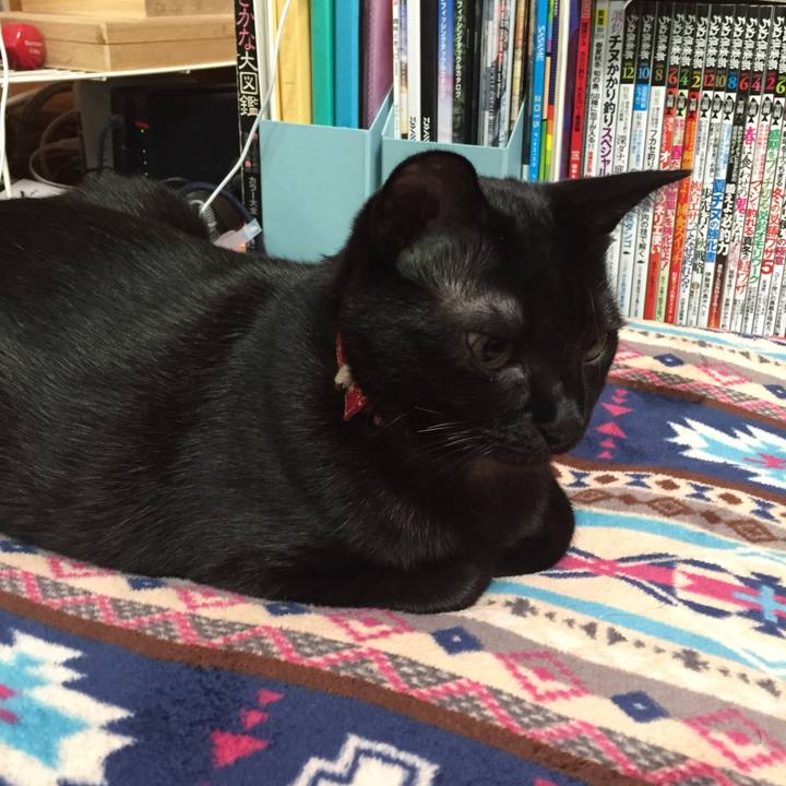 6b7f3a3c bb3e 4520 96ab dc442083c52a