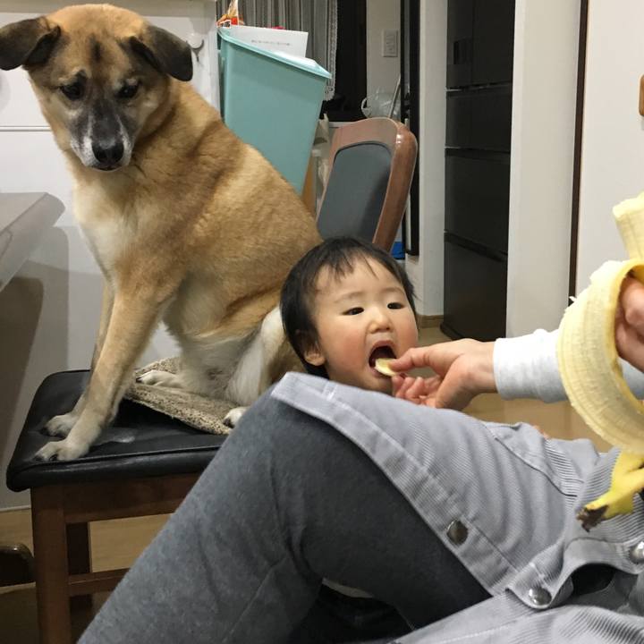 6b7f82e7 795e 4dfe 81c3 40cfc4e74dbf