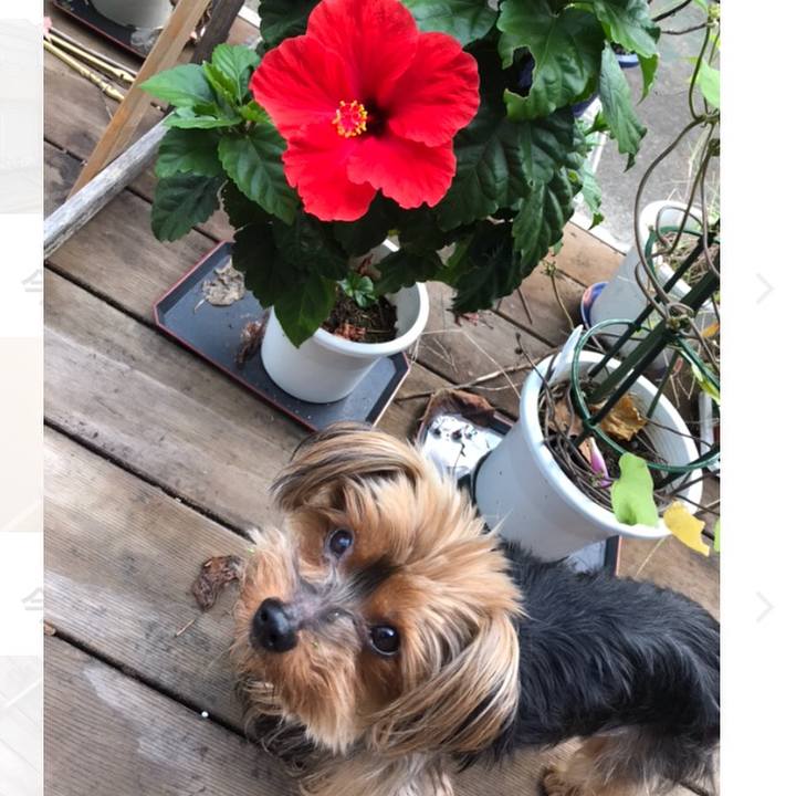 6b7fa230 d10c 4a3e b453 8dc90500bacf