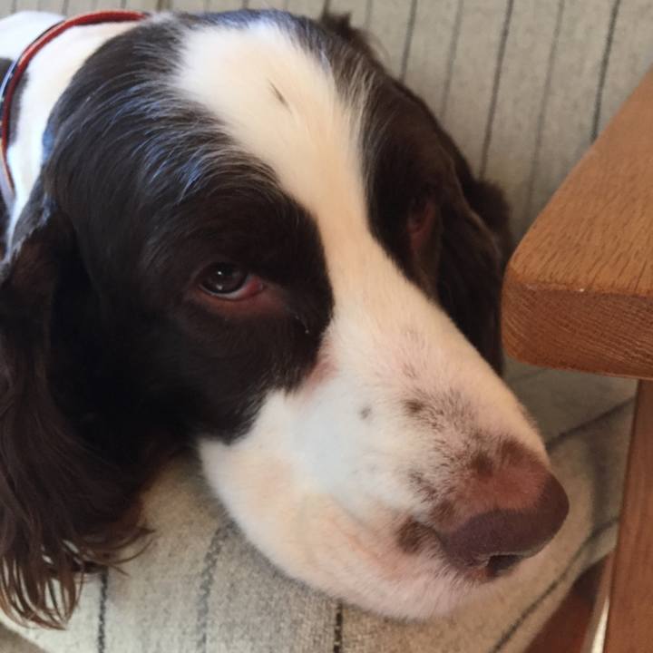 6b7fb03b f67d 4090 bc48 ea27d35535a4