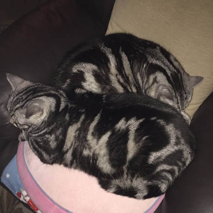 6b7fb32f 45c6 4bd0 8dd0 cdaaf1876e39