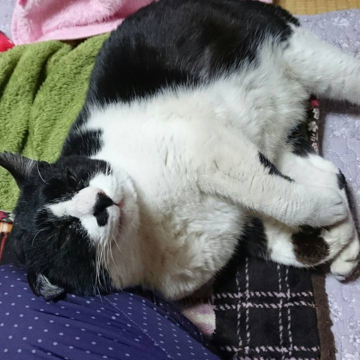 6b80878c 78cf 41a0 b885 d8d20ae777c8