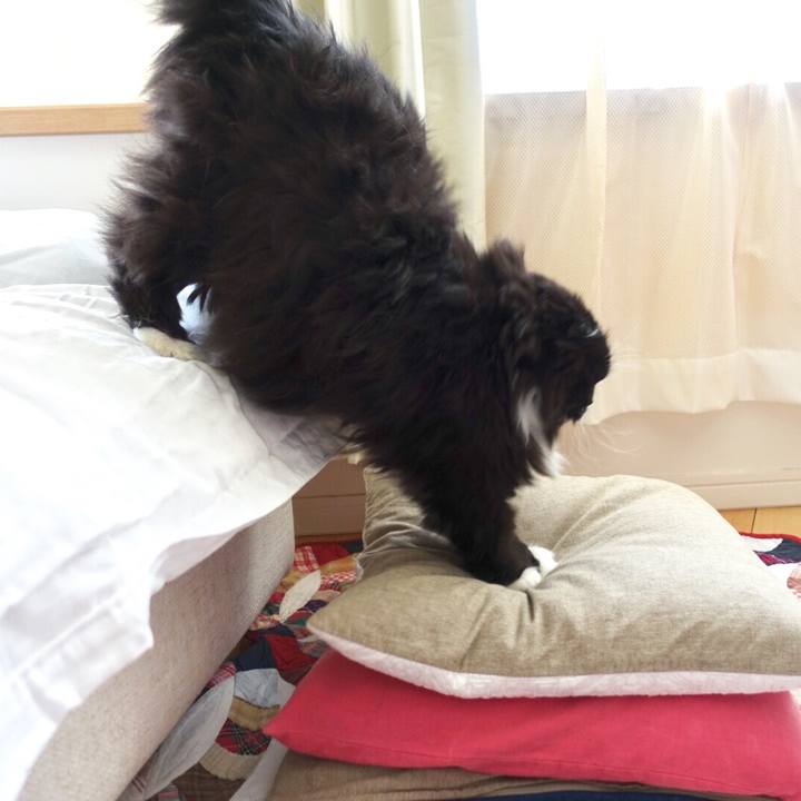 6b80a227 ea34 48f5 8d02 1a04fe938a1d