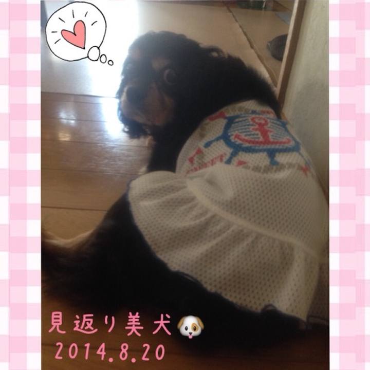 6b812bbf 6e2b 4a9c 8a0d 902a884f2bb8