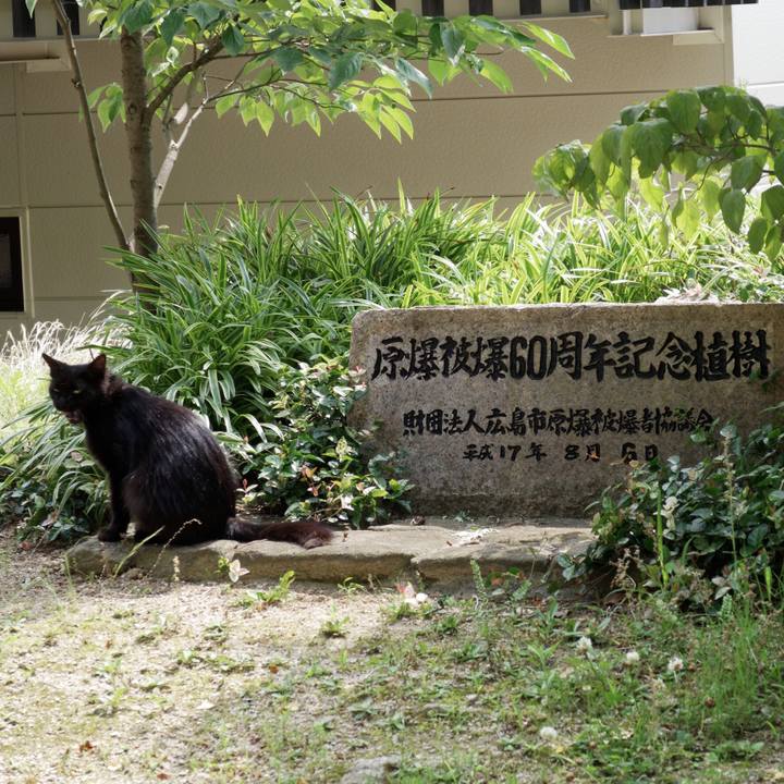 6b8170de 0219 4389 a564 b0493836f0c7