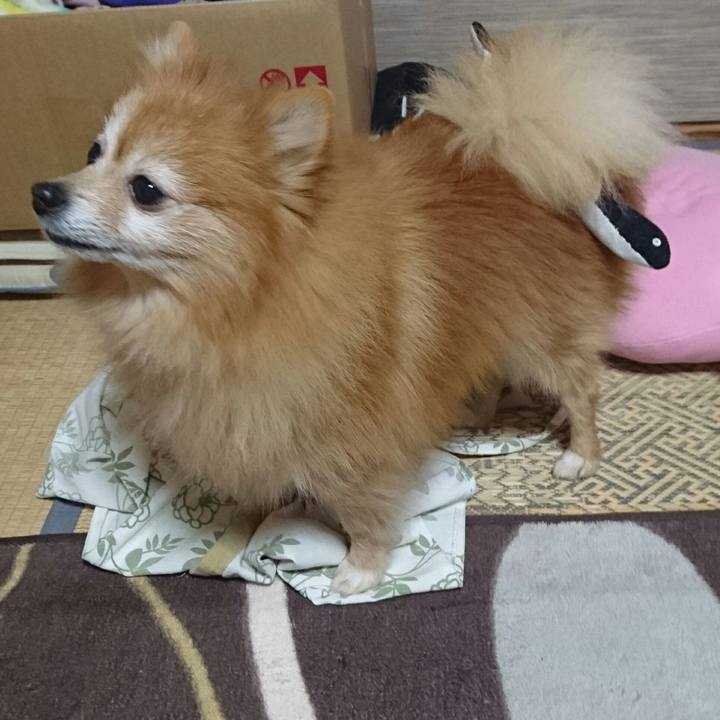 6b819815 4add 447b 913a 3605af30af56