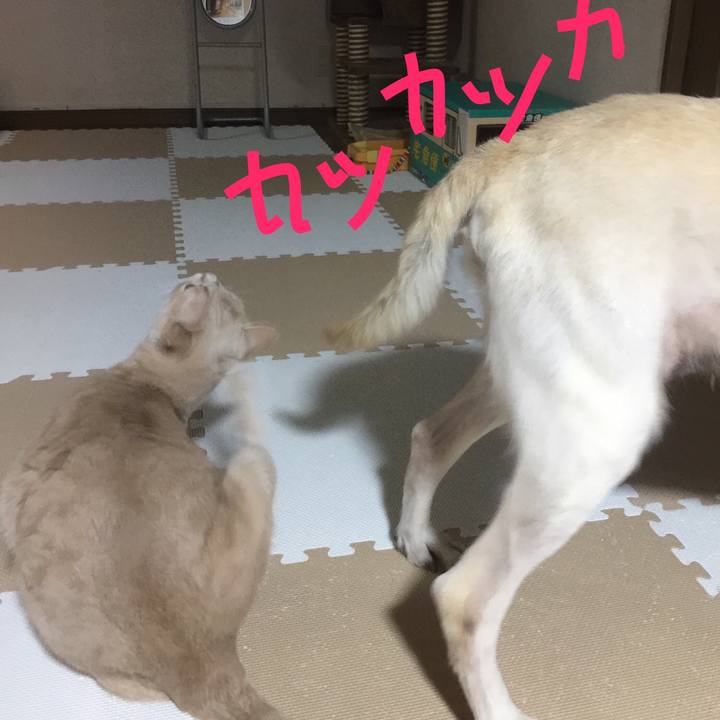 6b81cb1e 3803 42b1 b64e 255989e97a52