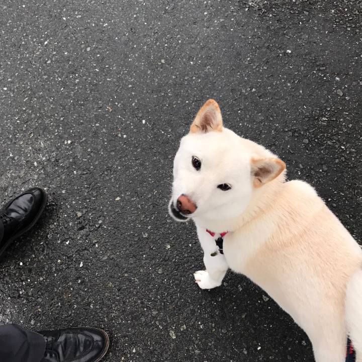 6b81d472 958a 4175 8073 5de2e60055ed