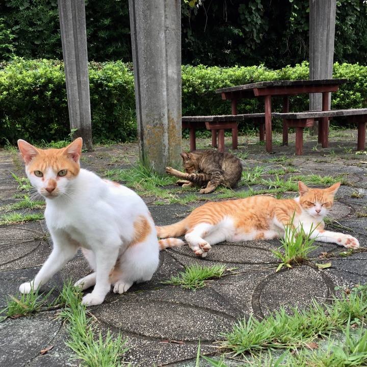 6b82b8d2 81e5 44cc 9594 1bd4f0aeb64c