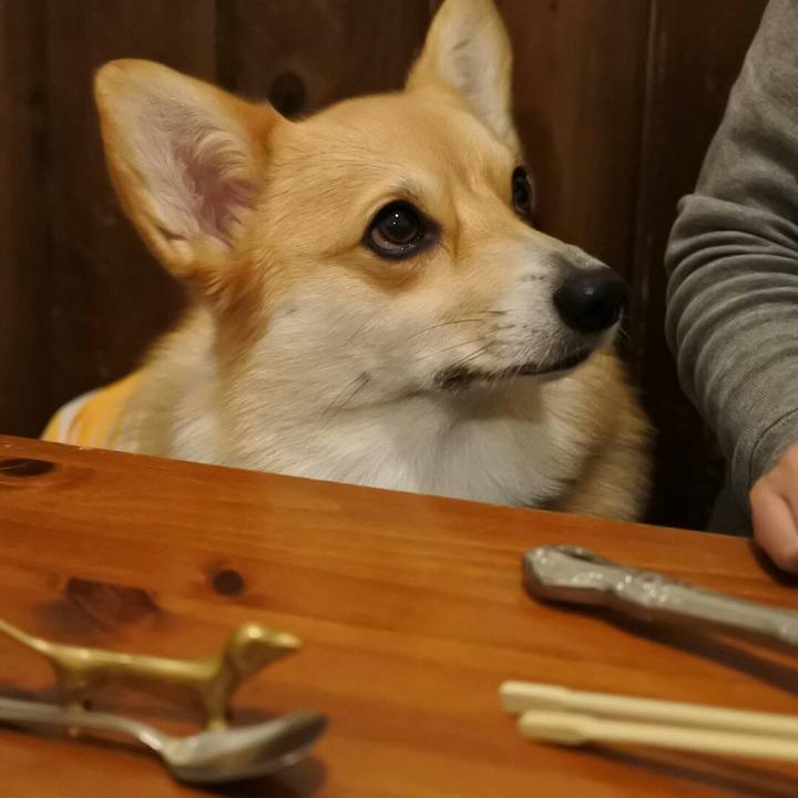 6b8360af d846 4bd1 8064 7e48c5570a52