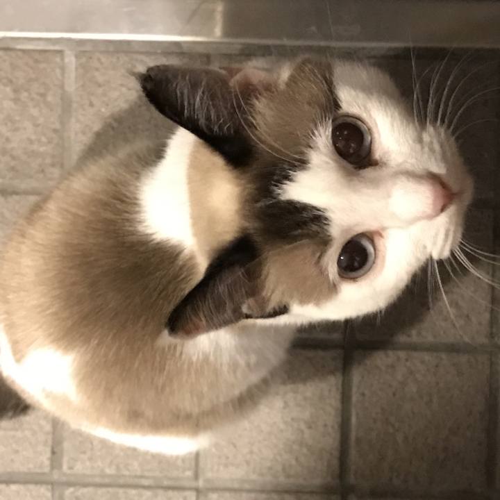 6b837485 895c 4516 9b30 b1d71a149d49