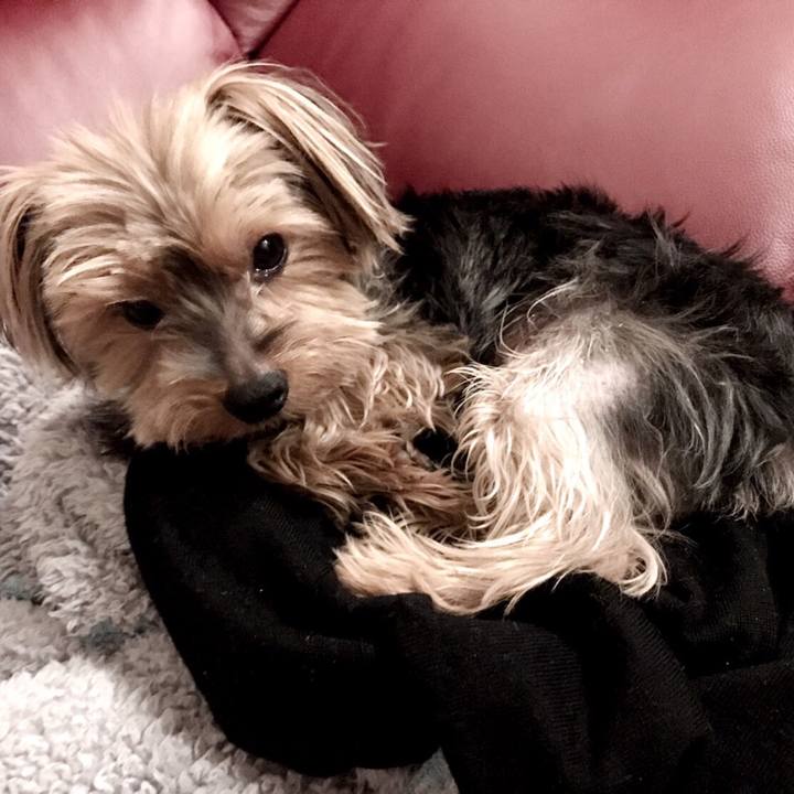 6b84387f b143 4a38 bc8f 27475ee1beb6