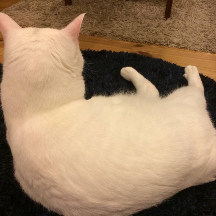 6b845c99 37ba 41f3 b6e3 38804187fef8