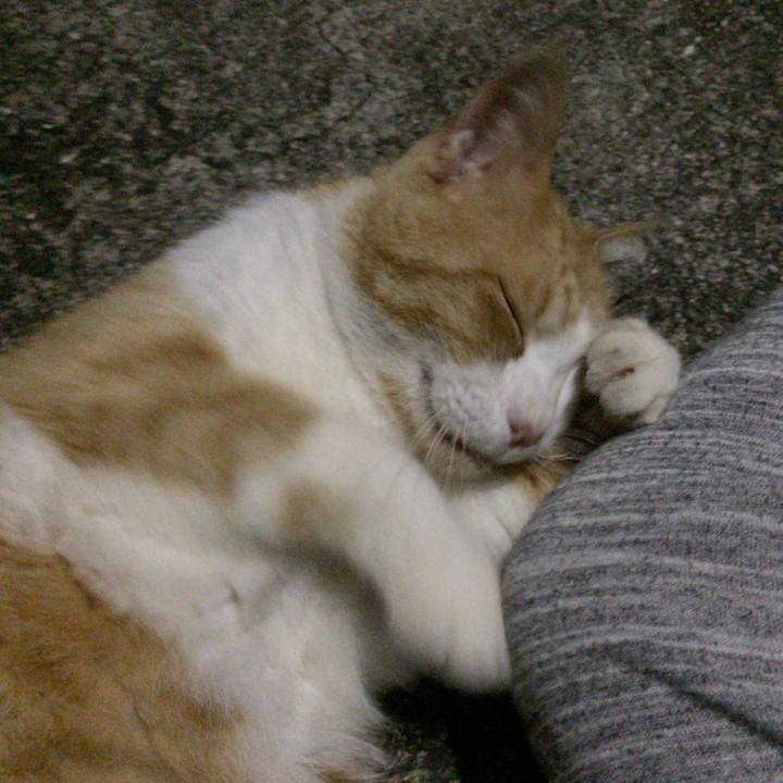 6b8546ef caf7 438e b12c 3270ef1c0071