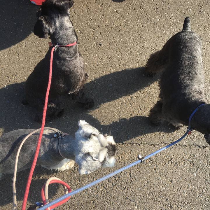 6b855610 159a 4b55 9009 e4e804f67aa0