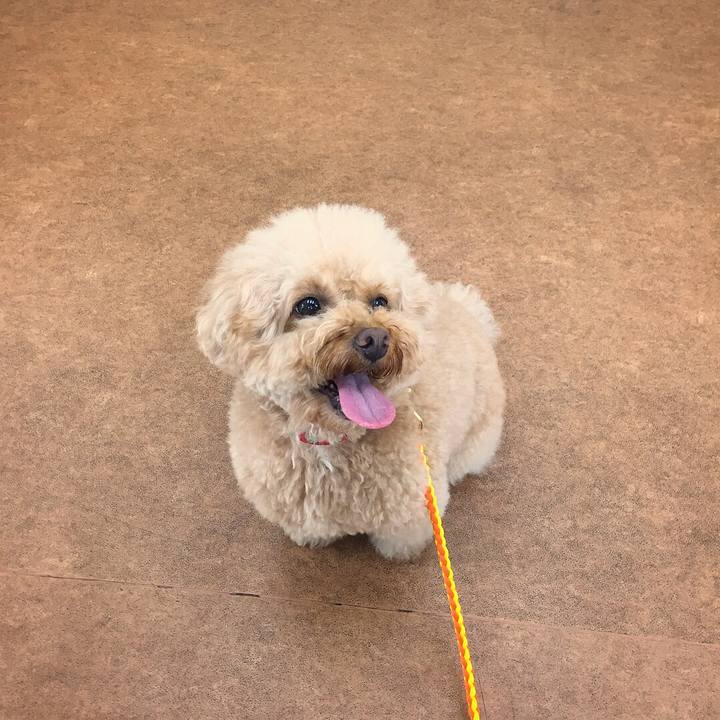 6b85634d 549d 43df b068 a5591eca7f40