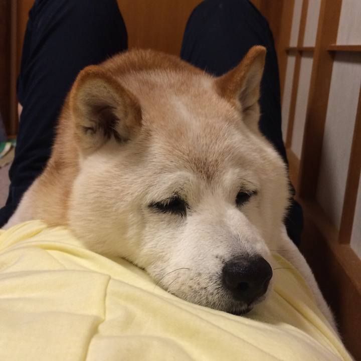 6b862deb ea2f 4d0e b742 b17d59d6ae89