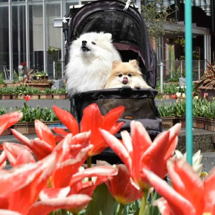 6b864f47 f73f 420b bf93 5c59418df17e