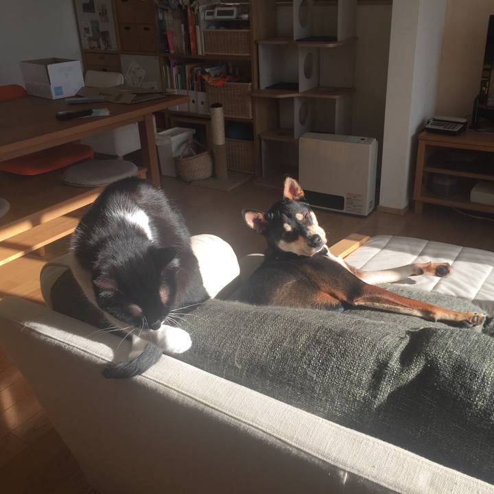 6b878f1a a2cf 473f 9c6f e70dfa7e94fa