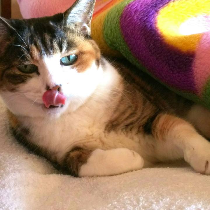 6b87bf26 2717 4f52 91d8 22e55f9285b5