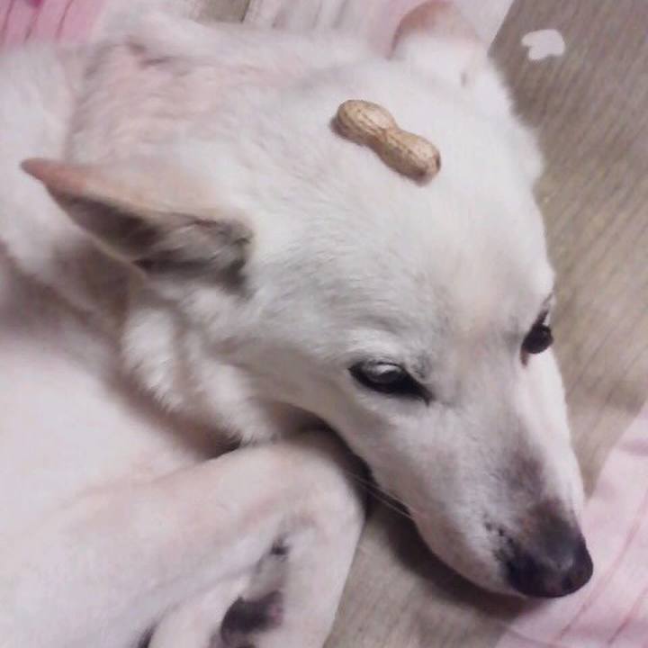 6b87ccd5 3e75 4538 8f35 2961ace4db36