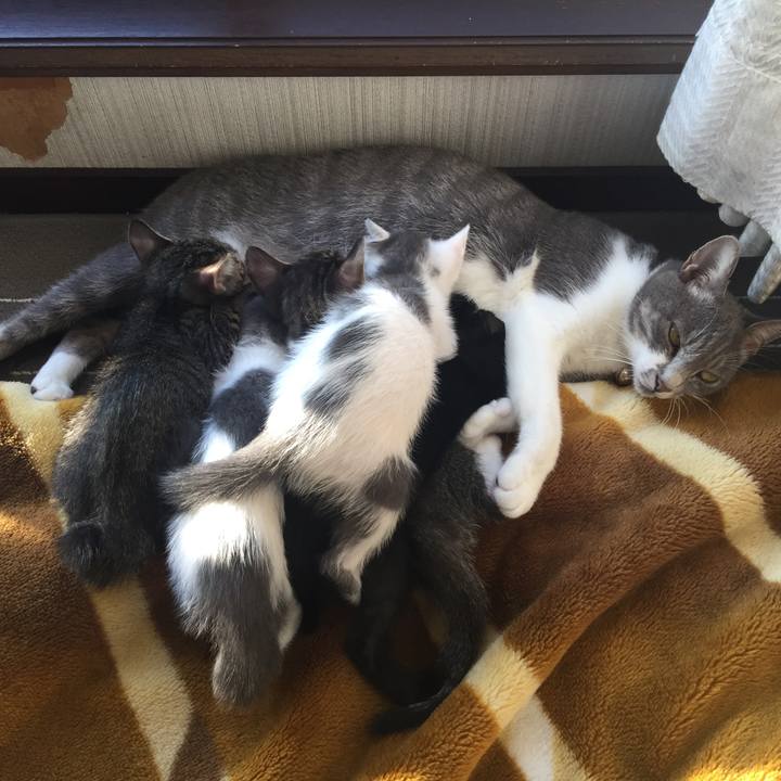 6b87d58e e0e7 4a11 9f38 164fb7081831