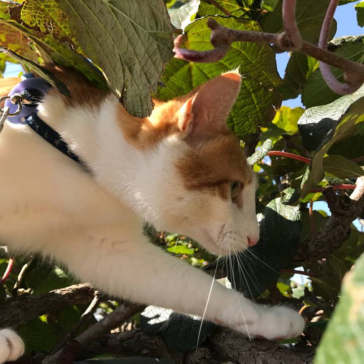 6b87d8b2 9bf4 4eec a0c4 bd0b990395b2