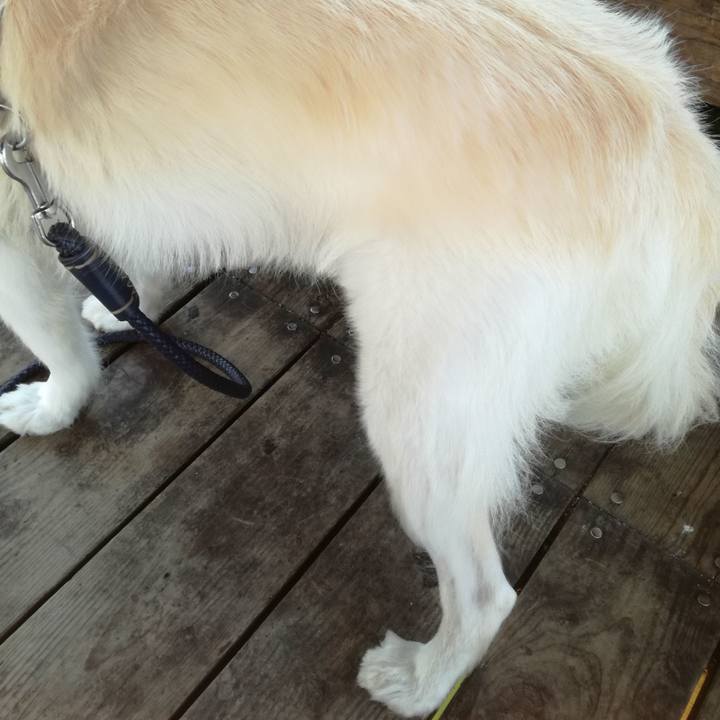 6b87fa6c 3ff5 4cef a296 9f1d7fef4eb3