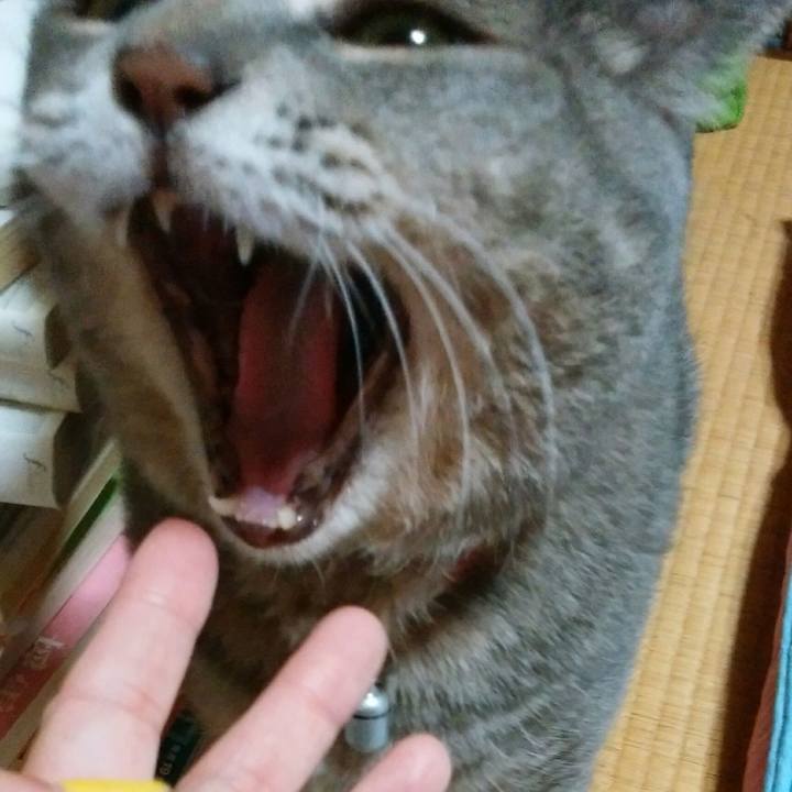 6b8809b1 0f95 4afb bac5 f632d8e6df9e