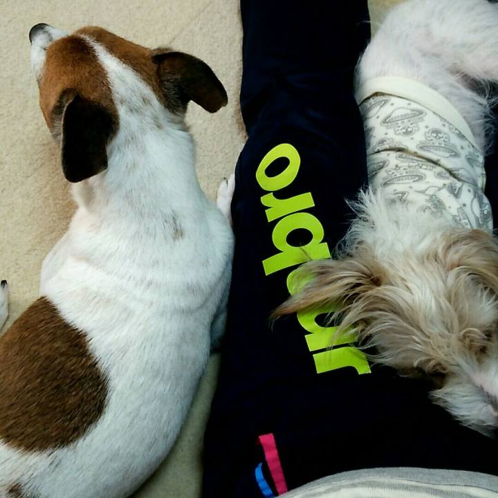 6b884253 8f9e 49e4 a3b8 96caa8faa257